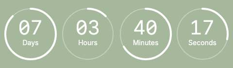 CleverTimer.org