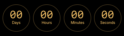 Countdown Timer
